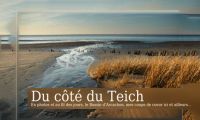 Du côté du Teich